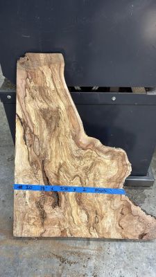 #20 Ambrosia Figured Maple slab