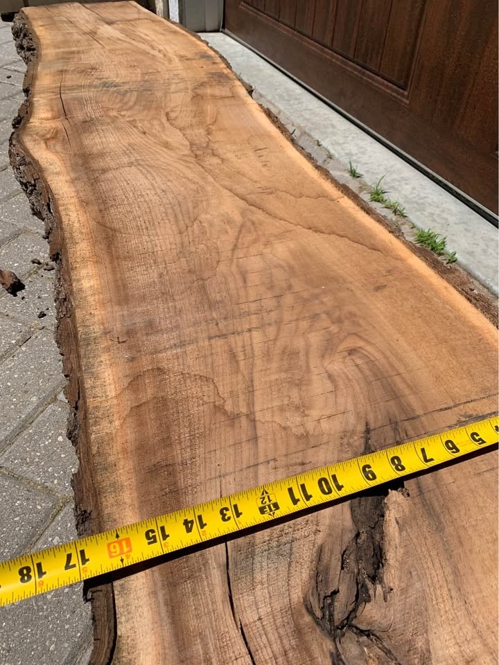 Live edge walnut slab/mantle - Image 4