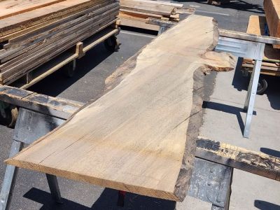Wood Project Live Edge Slab - 1x20x8.5ft