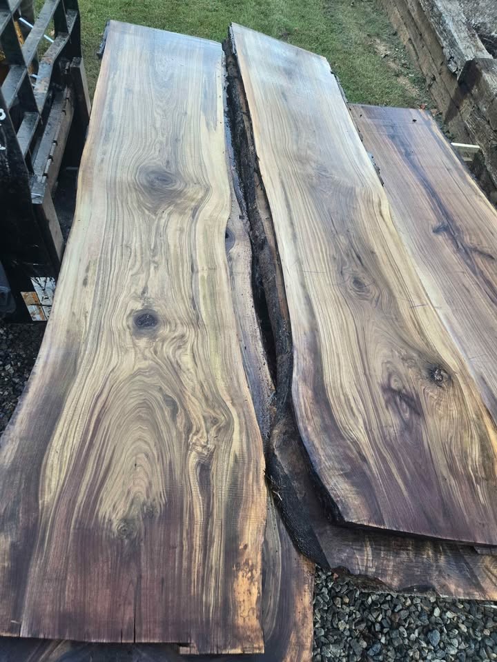 Live Edge Black Walnut Slabs - Image 2