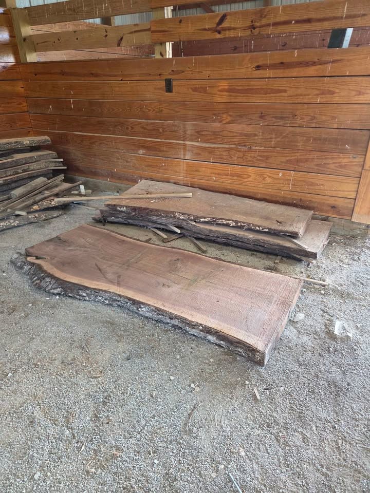 Wood slabs - Image 5