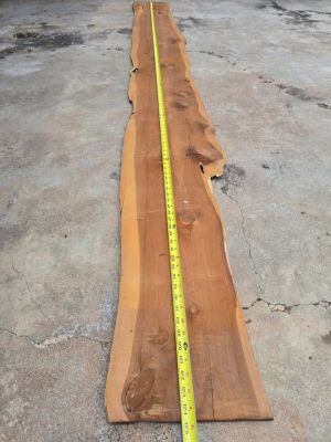 UNIQUE CEDAR SLAB 10FT LONG