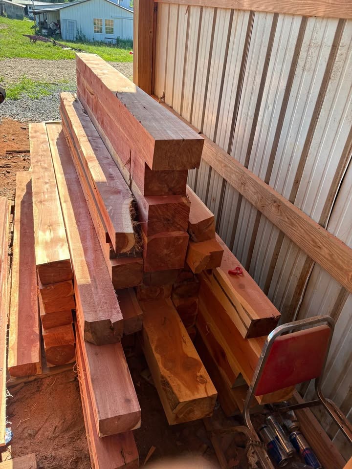 Eastern red cedar - Image 2