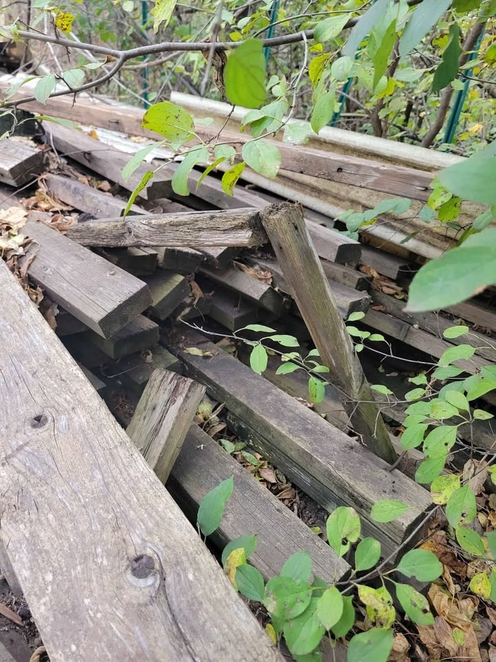 Reclaimed Wood Planks and Beams - Image 9