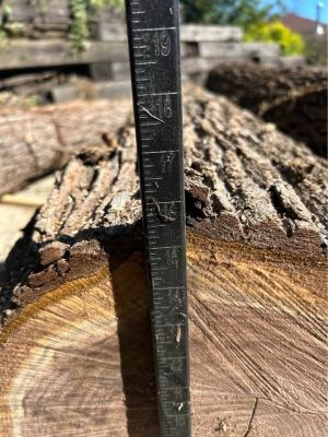 Walnut logs