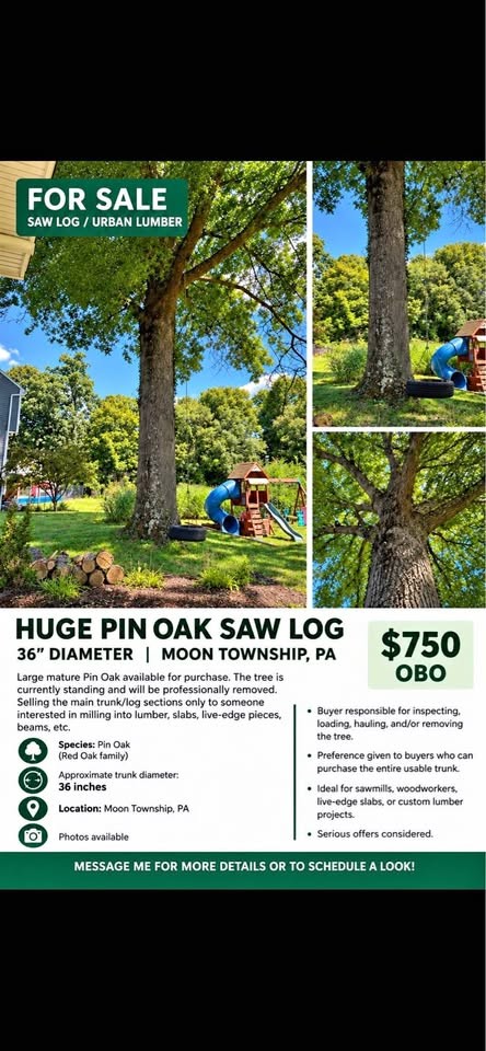 Huge Pin Oak Saw Log - 36” Diameter 
Urban Lumber/ Live Edge - Moon Township - Image 1