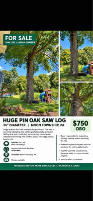 Huge Pin Oak Saw Log - 36” Diameter 
Urban Lumber/ Live Edge - Moon Township
