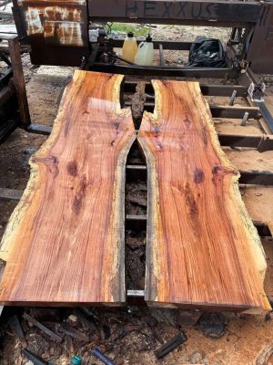 Live edge spalted pecan slabs