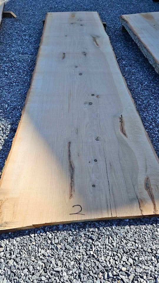 Oak slab,2 1/2 "thick 12ft long,3ftwide4ftw  slab number 2 - Image 1