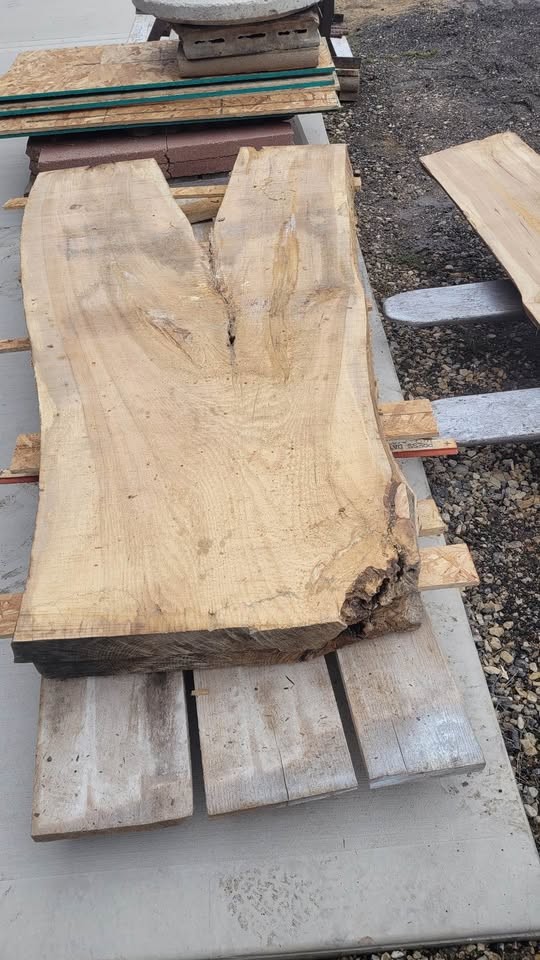 Hickory Wood slabs 3 inches thick - Image 3