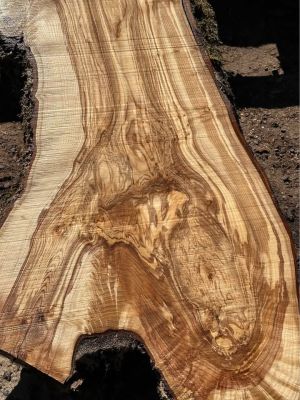 Wild Ash Slabs ;) (Kiln Dried)