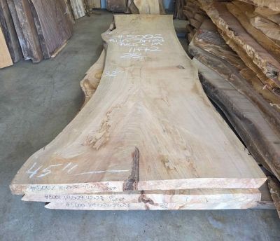 Kiln Dried Red Elm Slabs featuring a Bold Grain, with Rich Honey-Amber and Reddish-Brown deep tones!