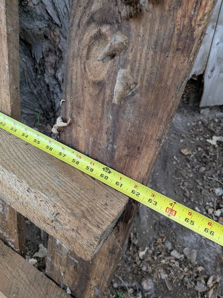 FREE Lumber - Image 6