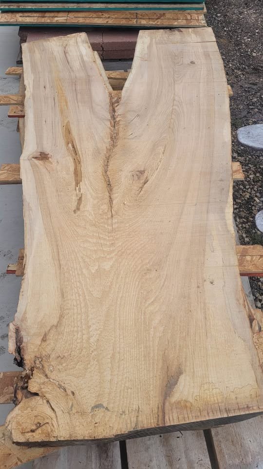 Hickory Wood slabs 3 inches thick - Image 2