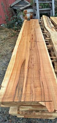 Redwood Cedar slabs