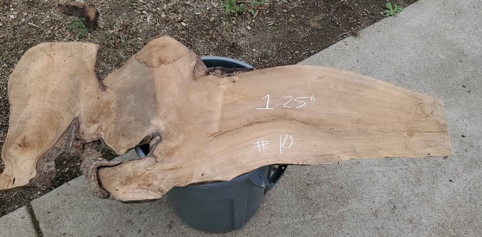 Dried Walnut live edge slab - Image 2