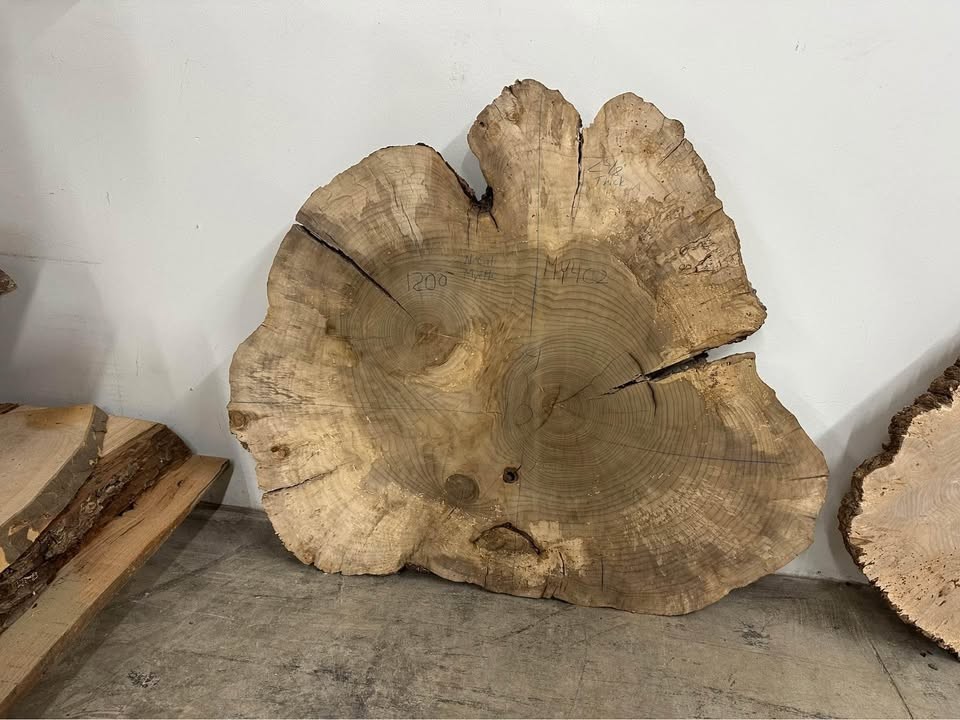 Myrtle Wood Figured & Burl slabs & Slices - Image 4