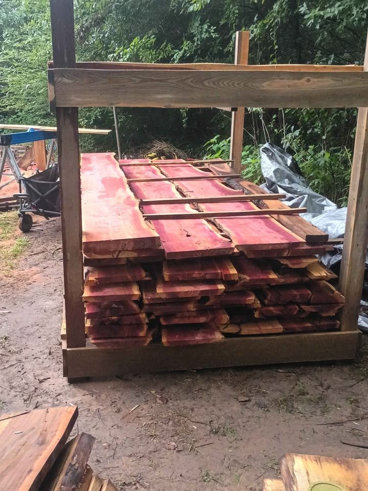 Wood slabs sale - Image 8