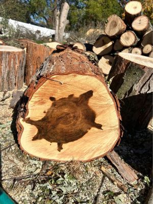 Spalted Maple slabs