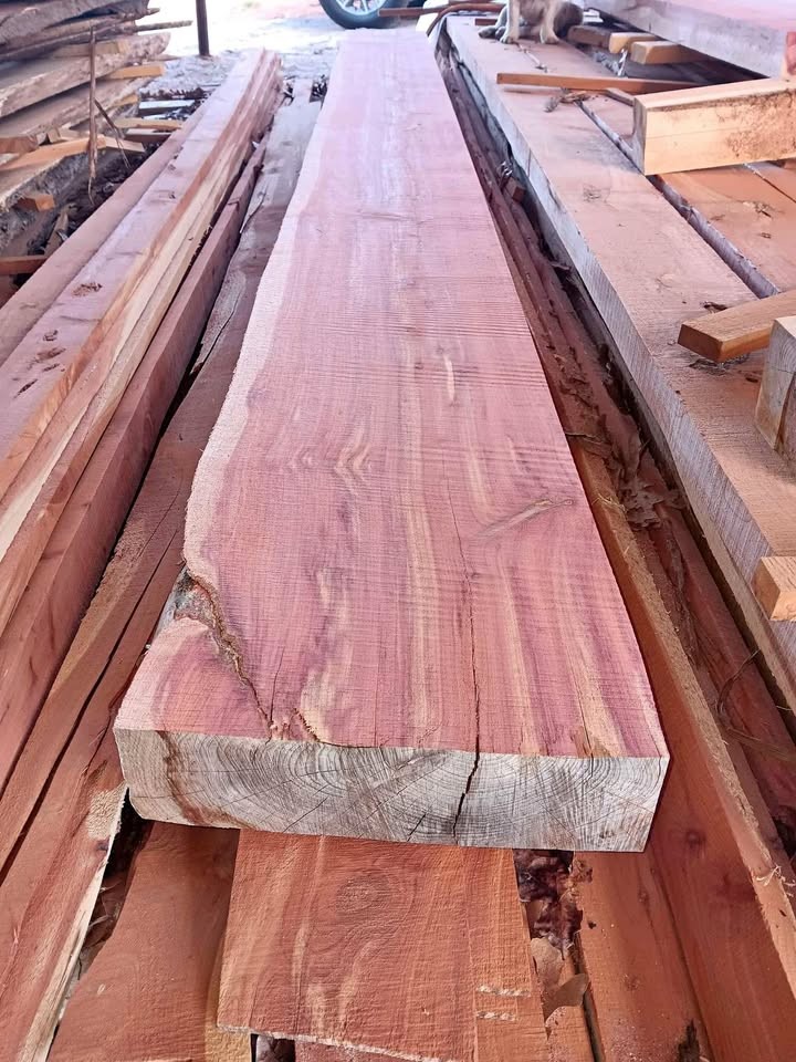 live edge 3inch and 4 inch mantle cuts - Image 1