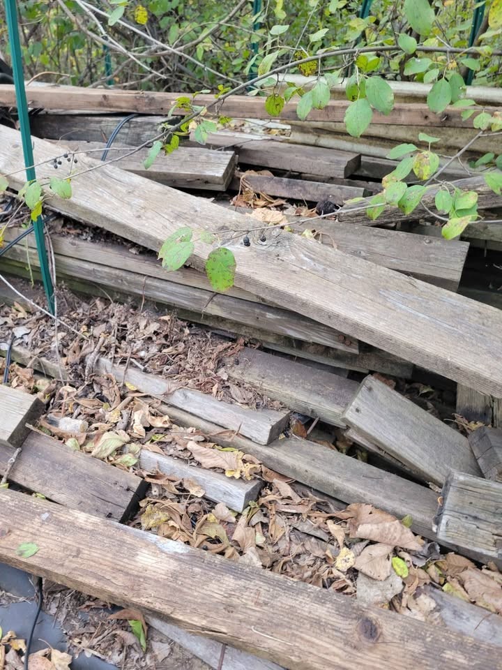 Reclaimed Wood Planks and Beams - Image 8