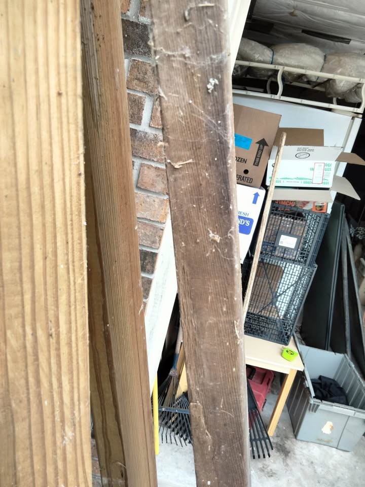 Wood slabs - Image 2