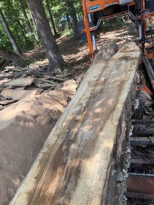 White oak 2” slabs