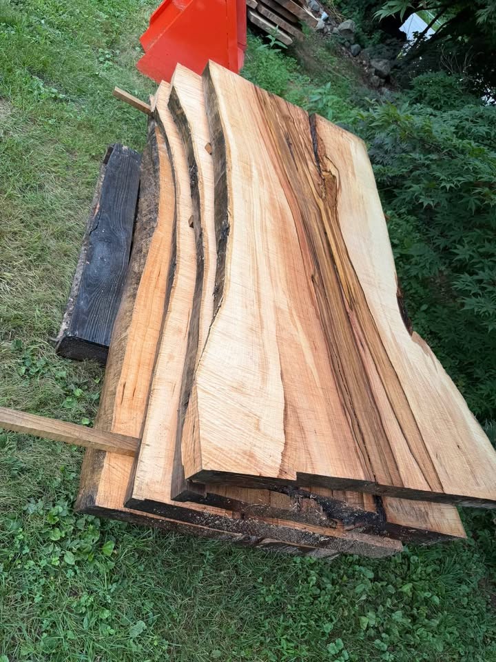 Silver Maple Live Edge Sawmill Slabs - Image 8