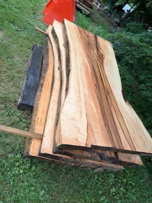 Silver Maple Live Edge Sawmill Slabs