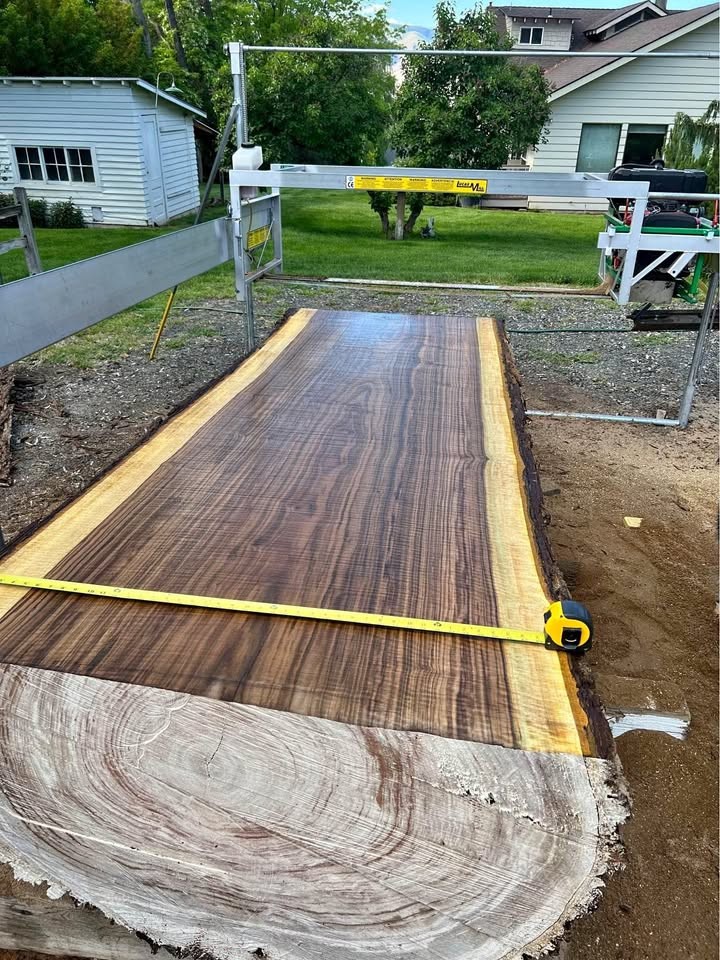 Black Walnut Live Edge Slabs - Image 1