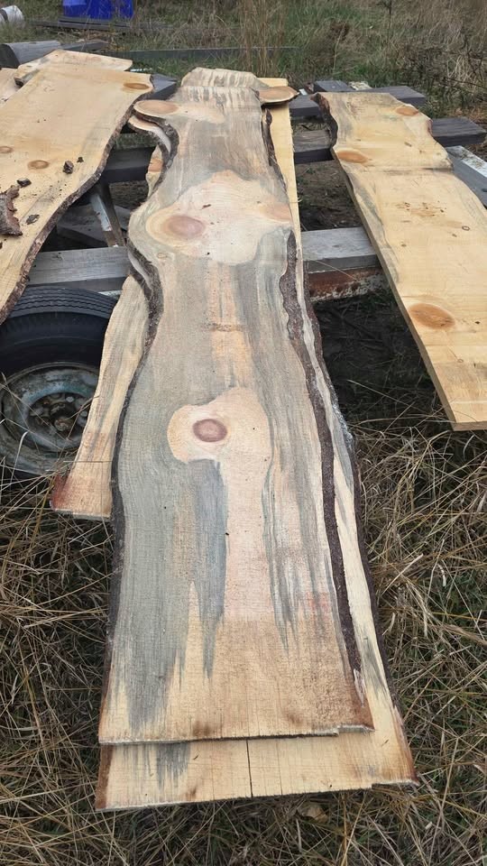 White pine slabs 1/2 inch - Image 3