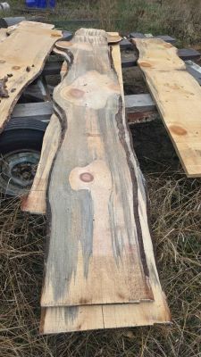 White pine slabs 1/2 inch