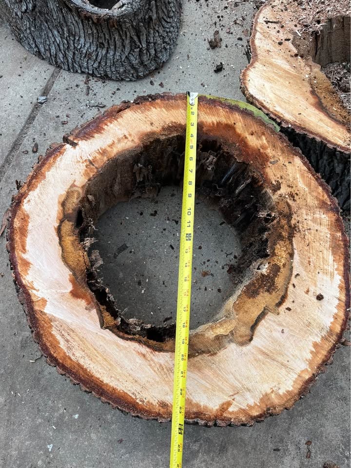 Live Edge Maple Slabs – Hollow Center – Unique Woodworking Projects - Image 8