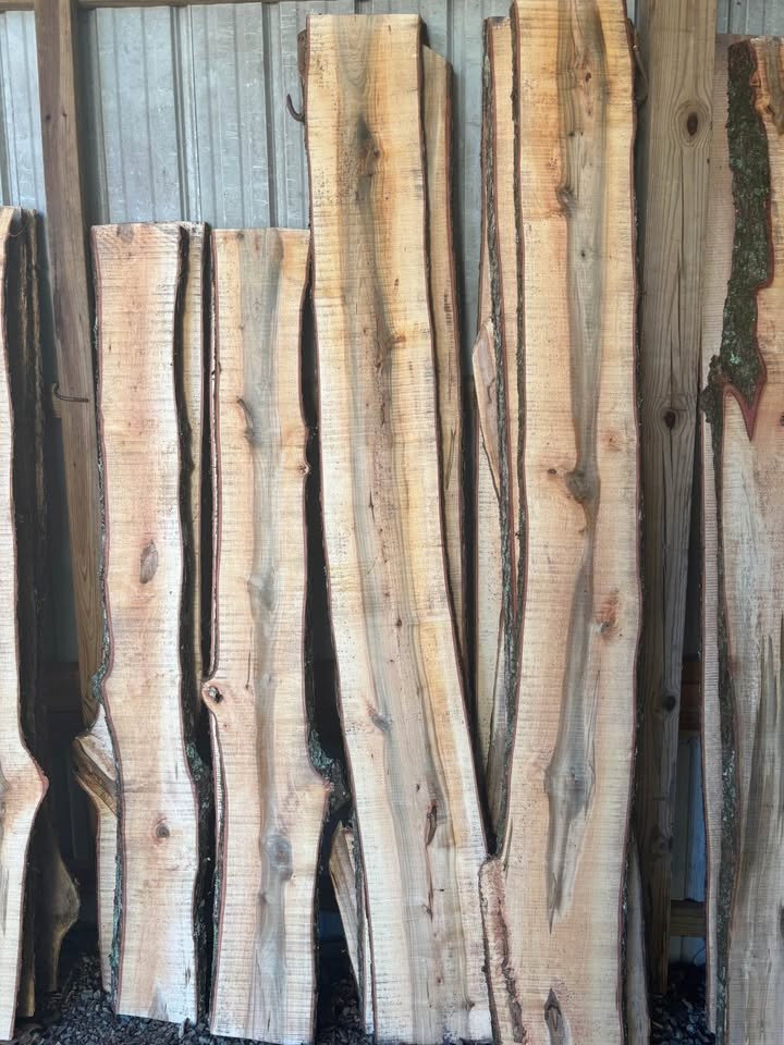 Live Edge maple slabs - Image 3