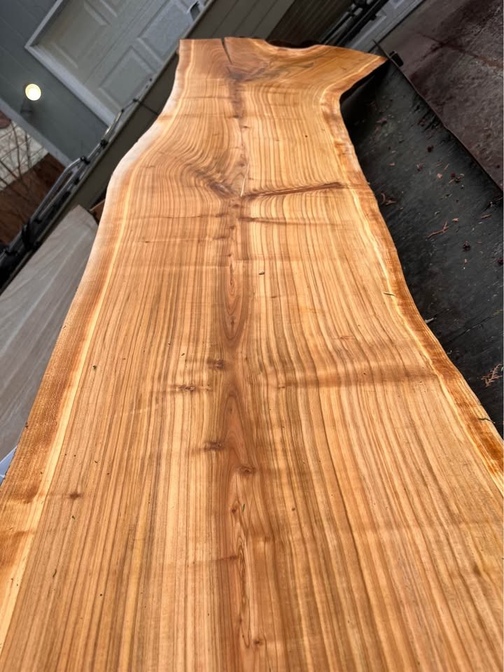 Free Wood Slabs Next Tuesday - Image 3