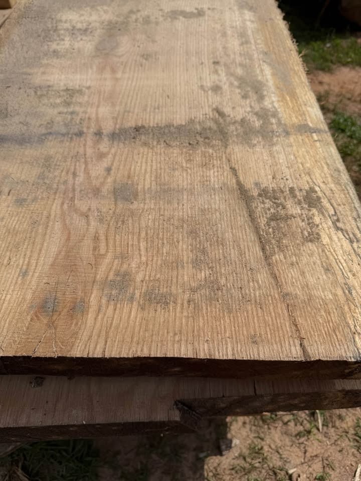White Oak Slabs - Image 3