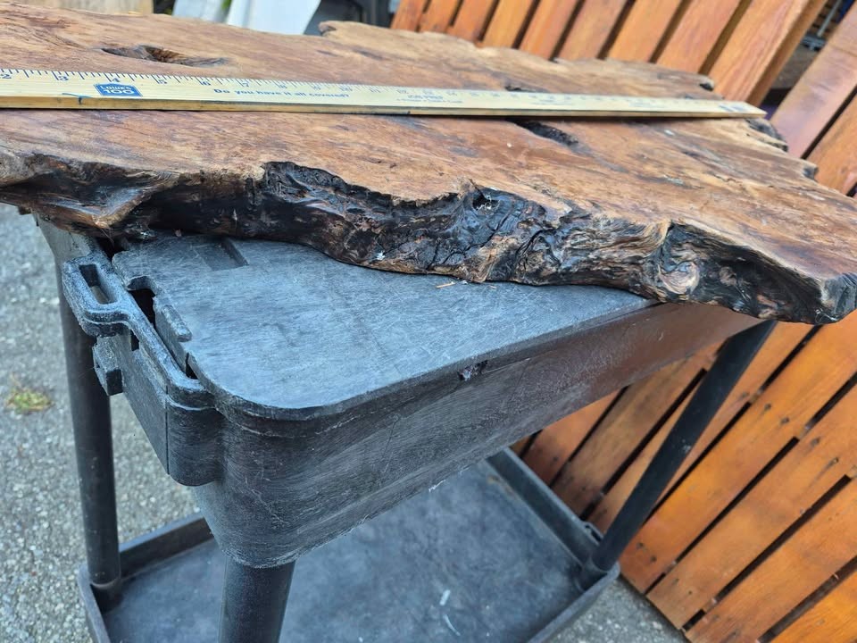 Burl slab/wood - Image 3