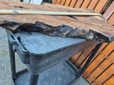 Burl slab/wood