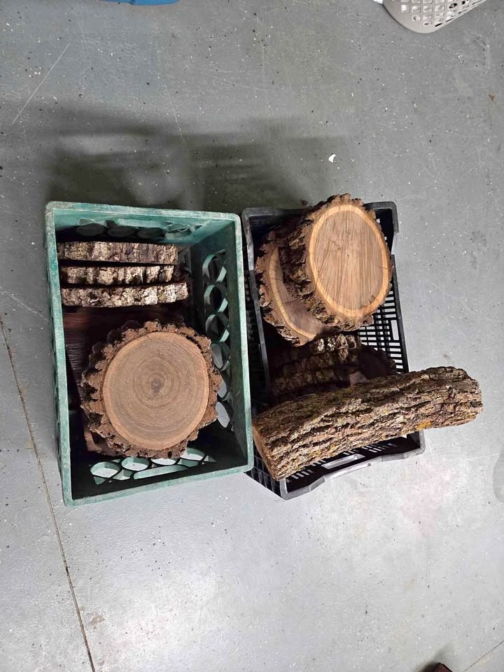 Black walnut slabs