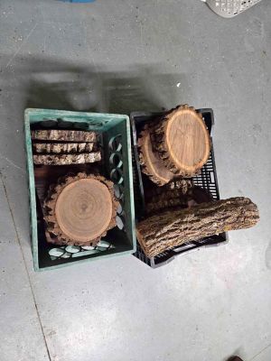 Black walnut slabs