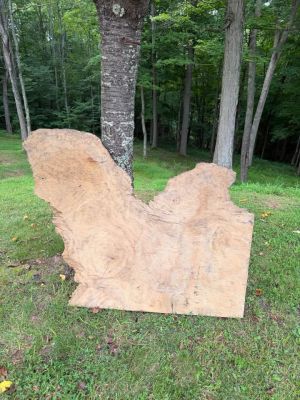Live Edge Piqua Wood Slab