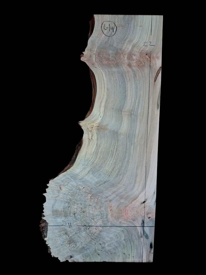 XL MIND BLOWING Birdseye MAPLE BURL Wood Blank, charcuterie blank, Live Edge Maple, EPOXY WOOD - Image 6