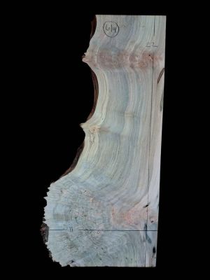 XL MIND BLOWING Birdseye MAPLE BURL Wood Blank, charcuterie blank, Live Edge Maple, EPOXY WOOD