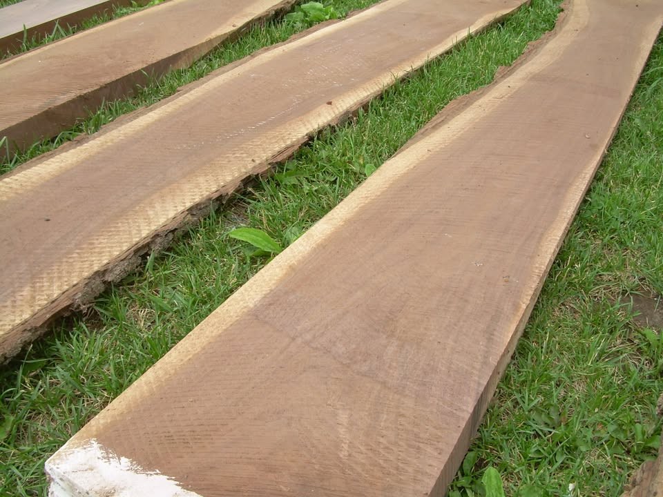 Walnut Lumber Boards Kiln Dried - Image 9