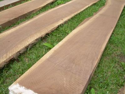 Walnut Lumber Boards Kiln Dried