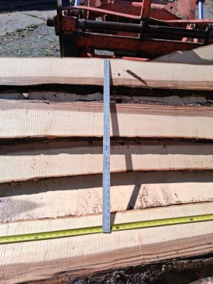 Maple Live Edge Slabs