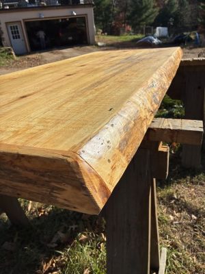 Live Edge Island/Counter/Table Top