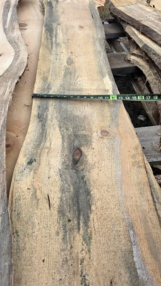White pine slabs one inch - Image 1