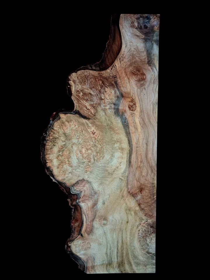 XL INSANELY FIGURED AMBROSIA MAPLE Burl wood Blank, Birdseye Maple Burl, Live Edge Maple, EPOXY WOOD - Image 4