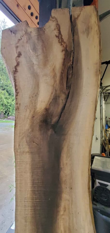 English Walnut Slab, Kiln dried - Image 2